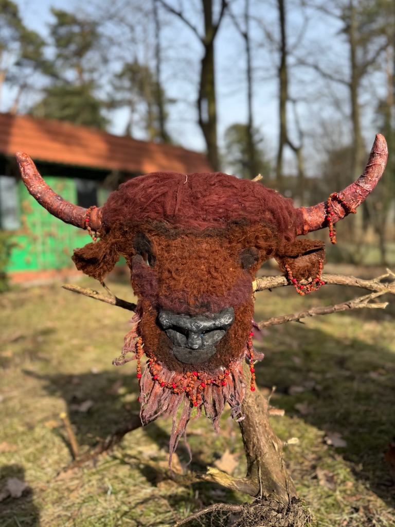 Lasota - Król Puszczy