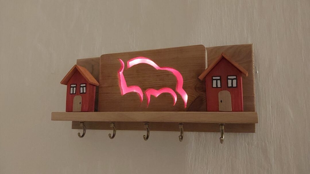 Dom pod opieką żubra