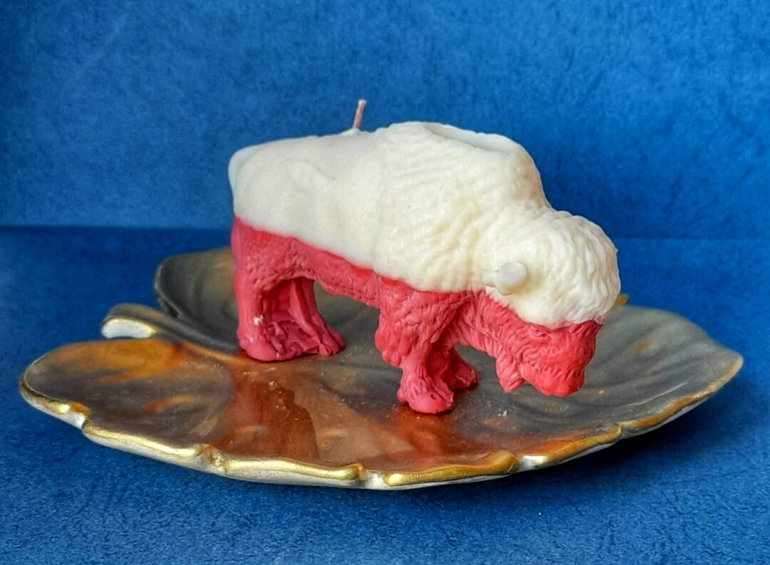 Światło w drodze do sukcesu