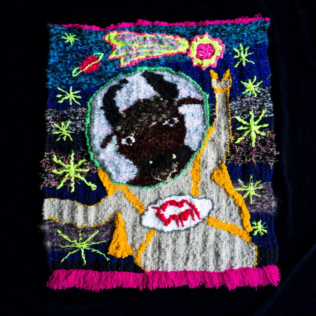 Pierwszy żubr w kosmosie