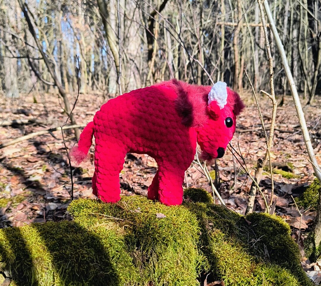 Brać żubra za rogi