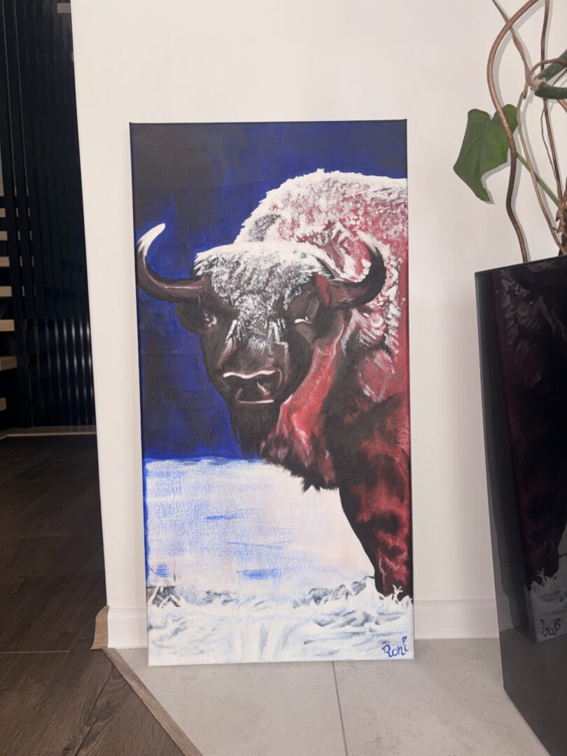 Karmazynowy żubr w naturze