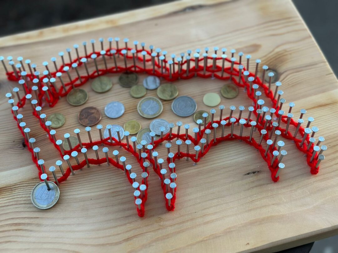 „Żubr. Kapitał dziedzictwa”