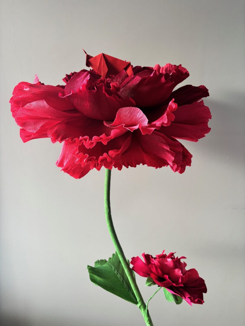 Moc zaklęta w papierze-siła żubra i papierowa delikatność