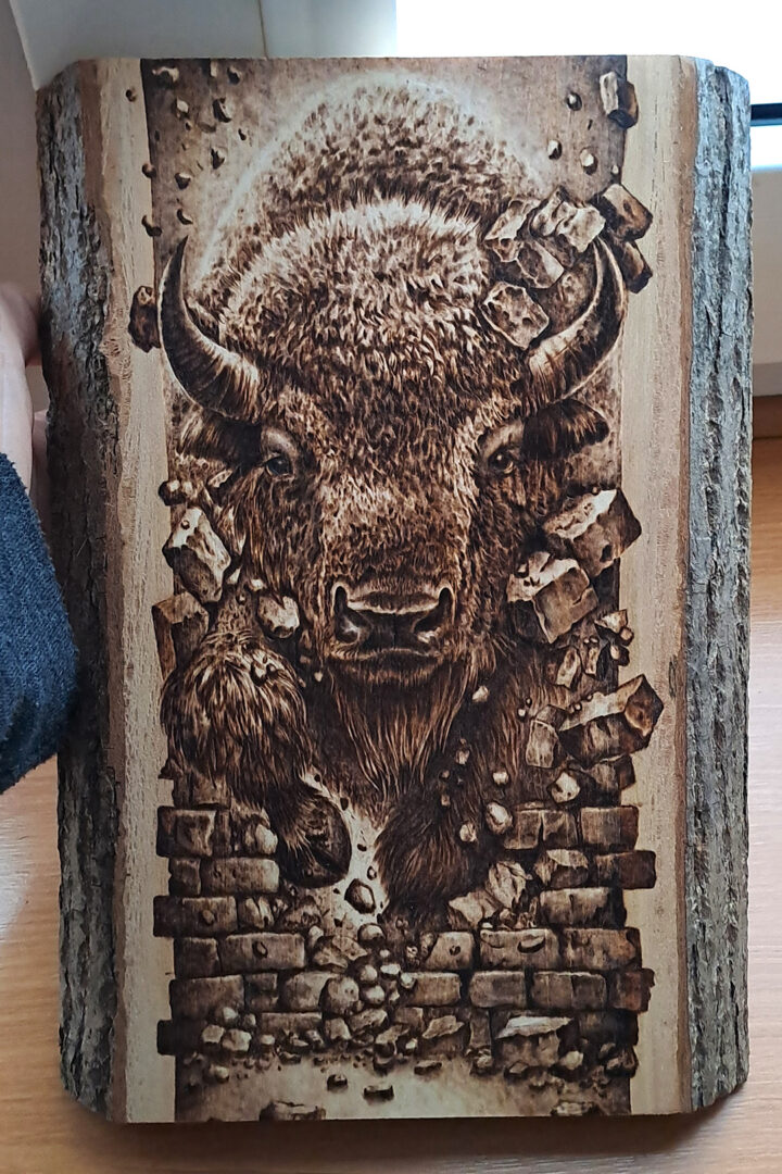 Na przekór przeciwnościom