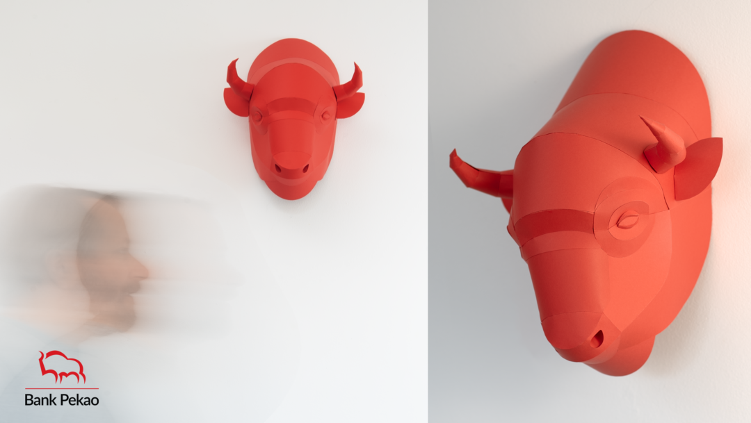 PAPIEROWA GŁOWA ŻUBRA