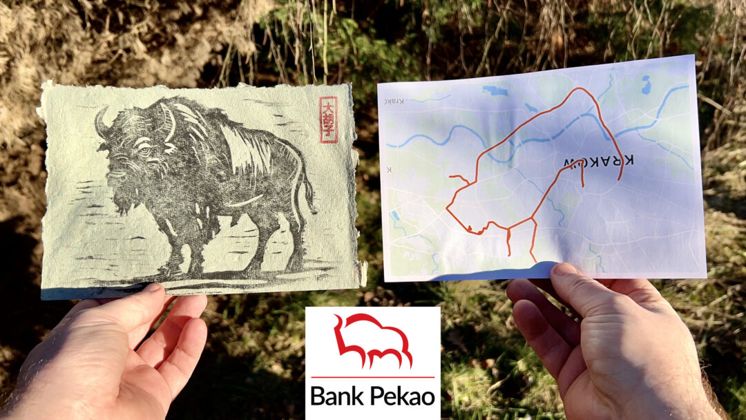 Żubr na papierze z makulatury i bonus Żubr narysowany na rowerze sygnałem GPS