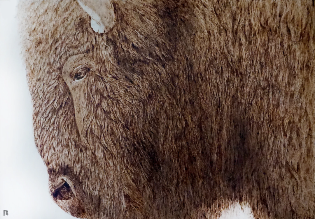 Skóra z drewna, serce z ognia.