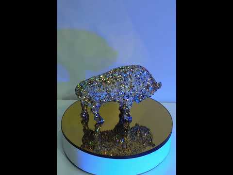 Żubr- kompas wartości