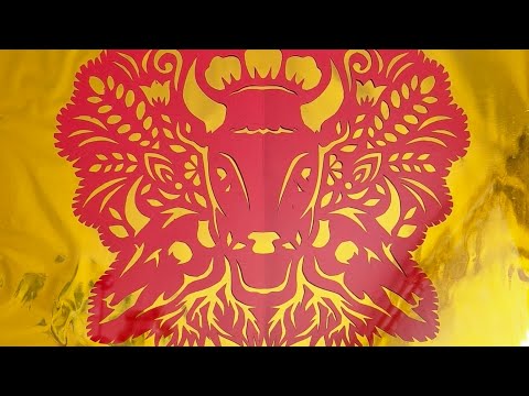 Na mocnych korzeniach