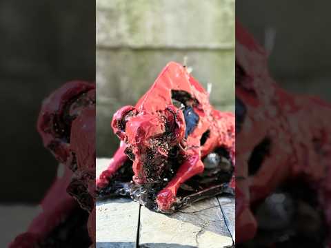 Moc drzemiąca w Żubrze. Ognisty impuls do działania.