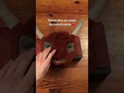 Szkatułka na nowe