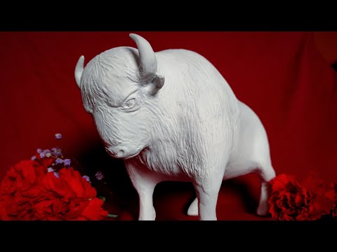 Skarbonka odwagi – Biały Żubr, który buduje przyszłość