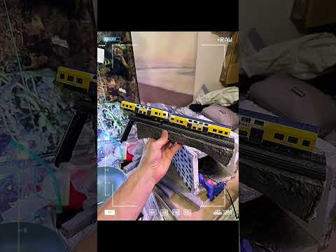 Postapokaliptyczne bioaktywne terrarium - Jaśkowa Dolina - Gdańsk