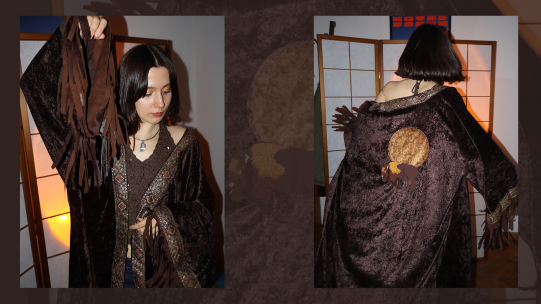 Żubr o zachodzie słońca