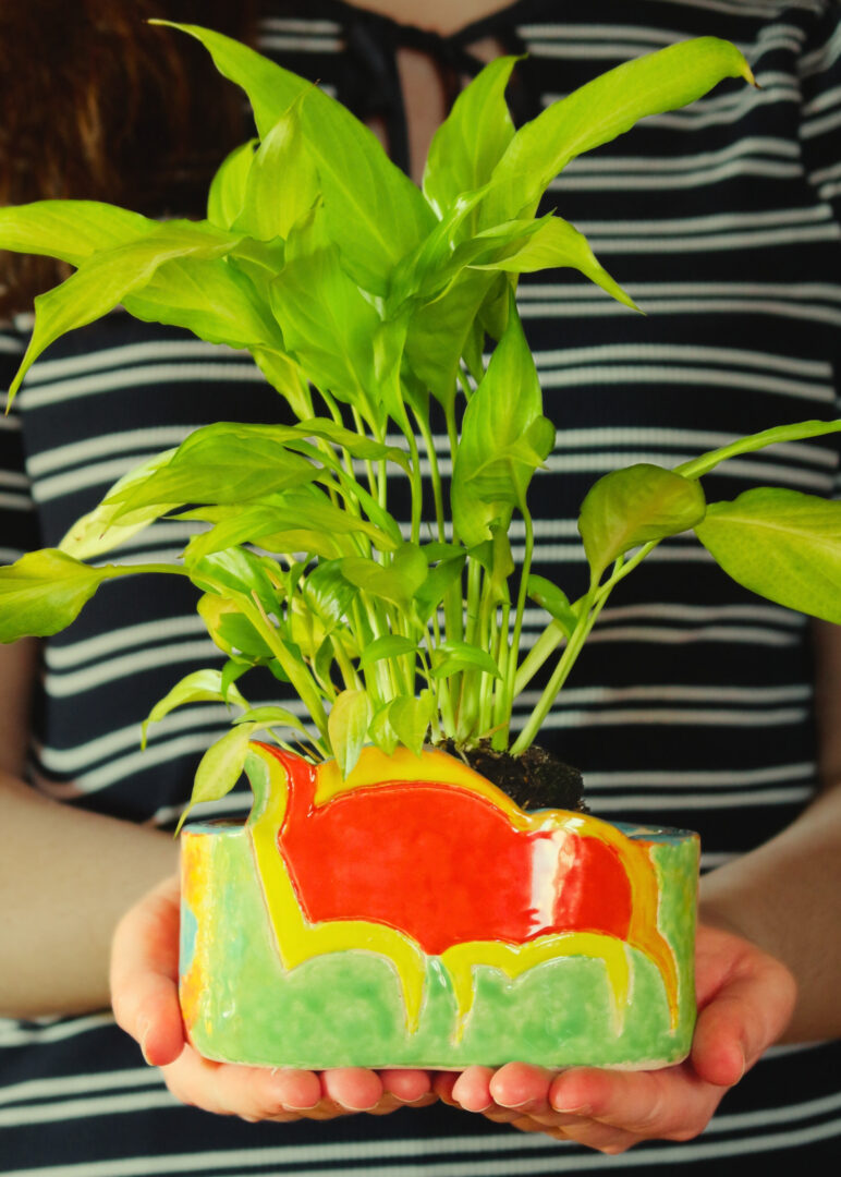 Delikatność i siła