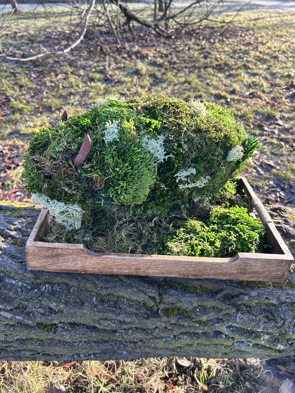 Żubr-stabilność z natury